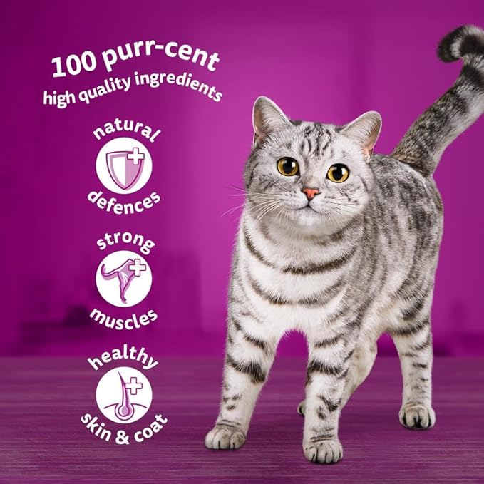 whiskas 1 plus Adult Wet Cat Food in Jelly (84 x 85 g) Pouches