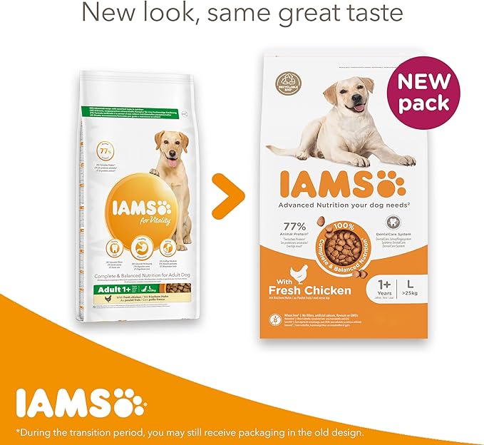 IAMS Adult Large Complete Dry Dog Food Chicken 12kg - With DentalCare System
