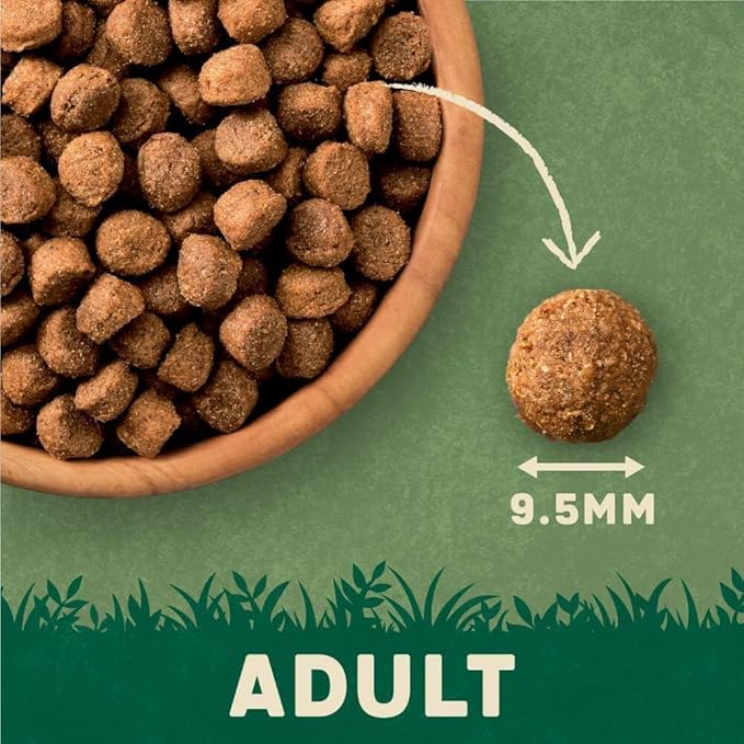 Harringtons Complete Dry Adult Dog Food Lamb & Rice 15kg