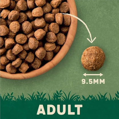 Harringtons Complete Dry Adult Dog Food Lamb & Rice 15kg